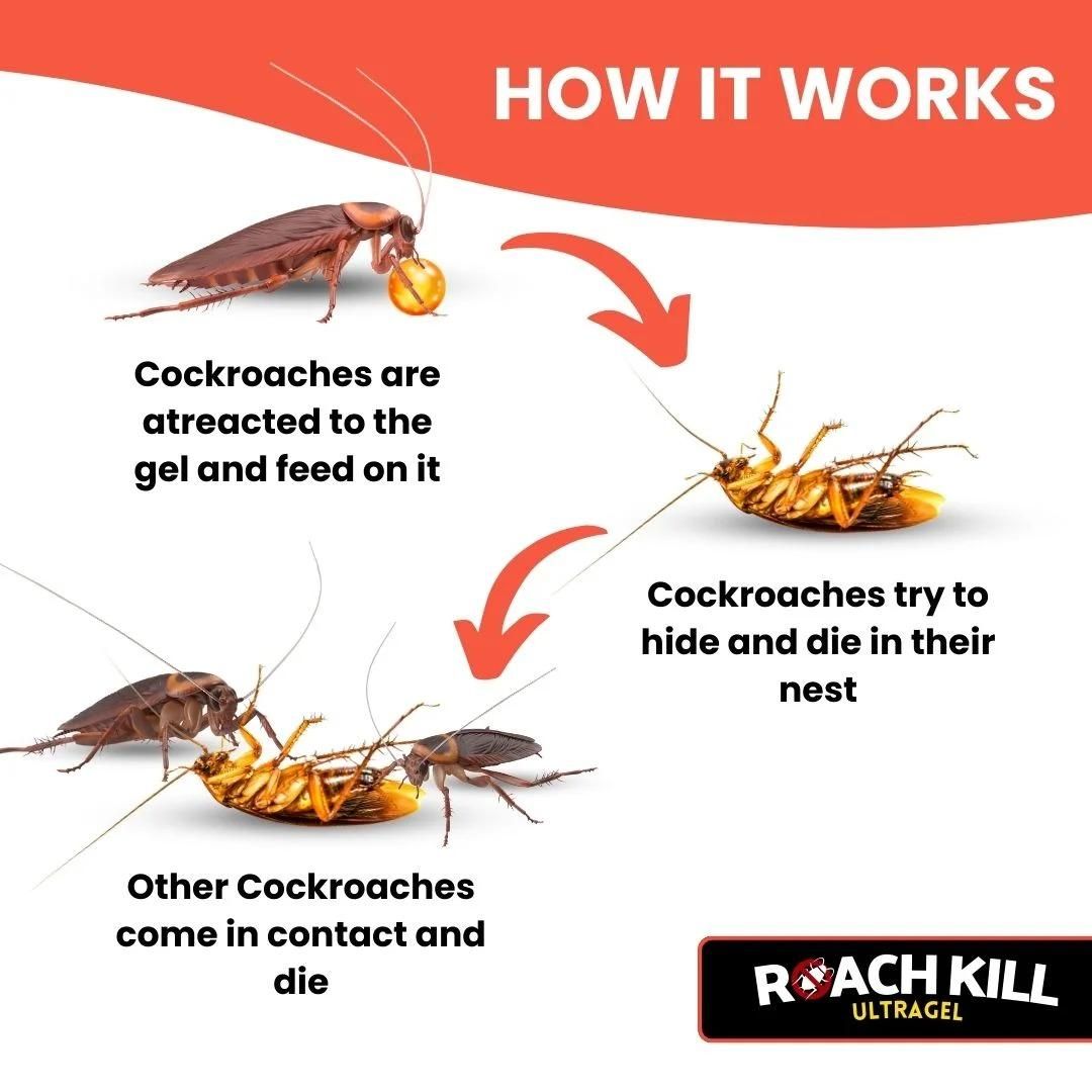 Roach Kill Ultragel Pack of 1