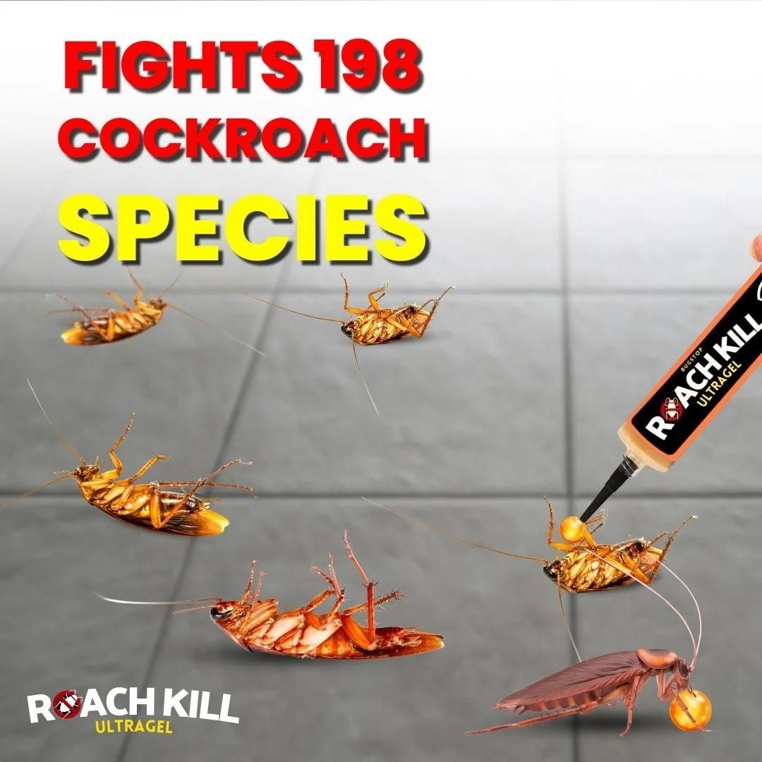 Roach Kill Ultragel Pack of 1