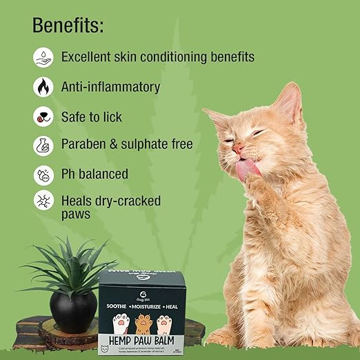 Goofy Tails Hemp Paw Cream for Cats 30g