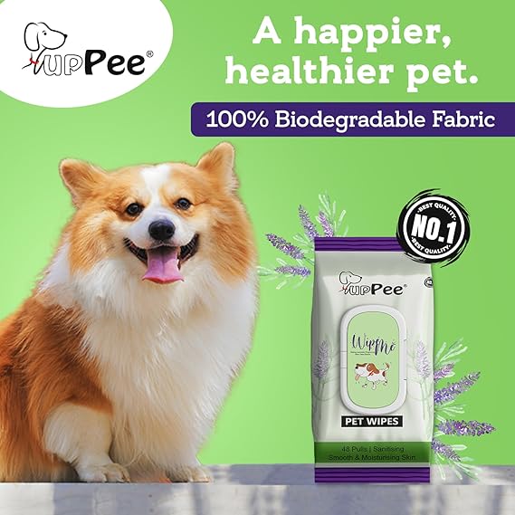 Wet Wipes for Dogs, Cats & All Pets