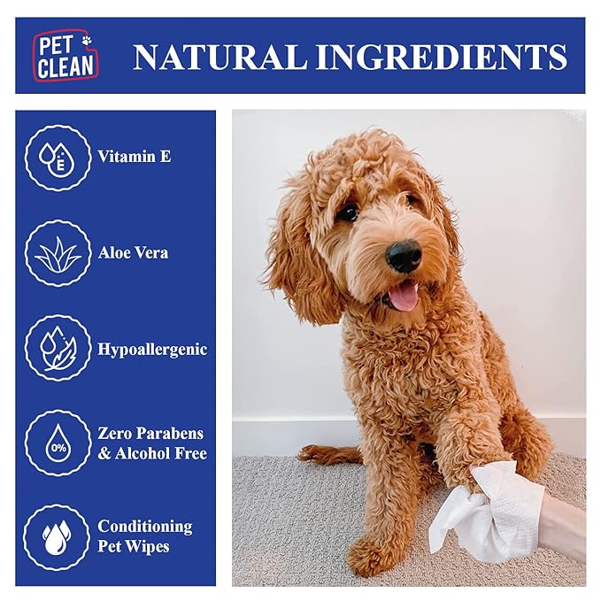 Pet Clean Pet Wipes 100 Counts Wet Wipes for Dogs