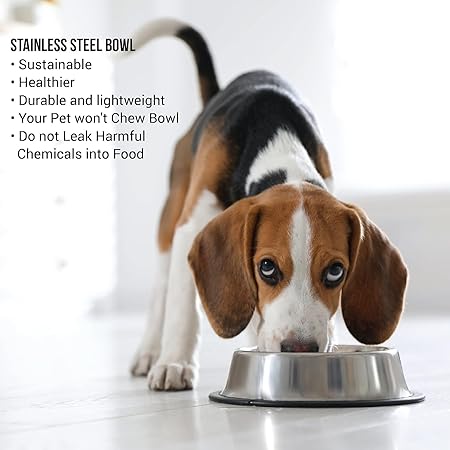 Stainless Steel Dog Bowl