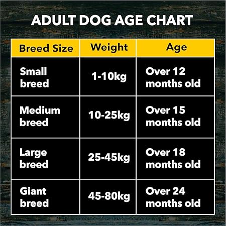 Adult Dry Dog Food, 1.2 kg