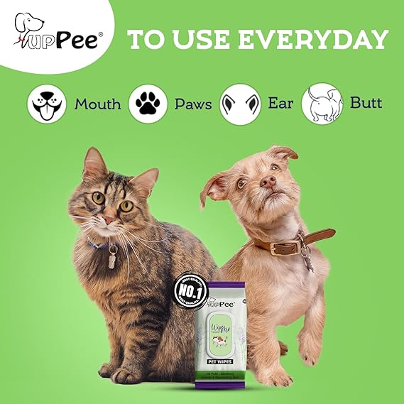 Wet Wipes for Dogs, Cats & All Pets